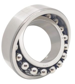Bearing 2209 NTN