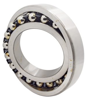 Bearing 1219 NTN